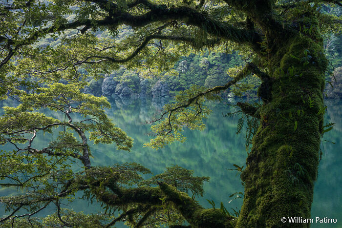 70 Breathtaking Photos Shortlisted For Australian Geographic Nature Photographer Of The Year