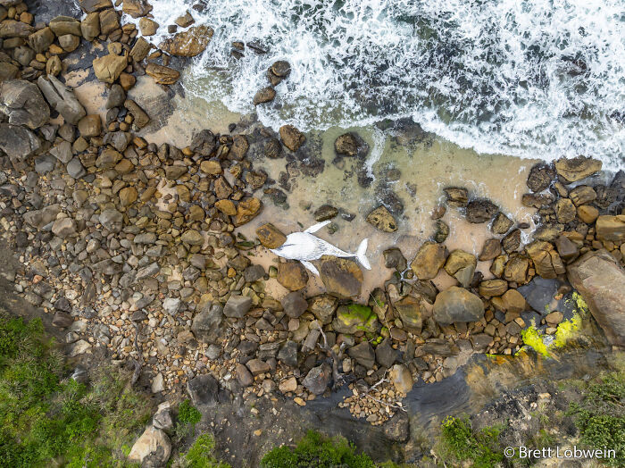 70 Breathtaking Photos Shortlisted For Australian Geographic Nature Photographer Of The Year