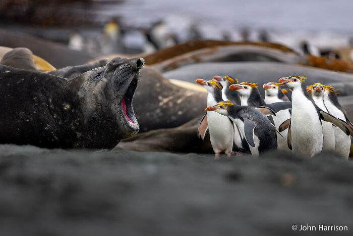 70 Breathtaking Photos Shortlisted For Australian Geographic Nature Photographer Of The Year