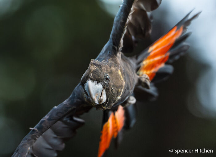 70 Breathtaking Photos Shortlisted For Australian Geographic Nature Photographer Of The Year