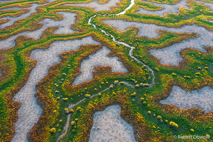 70 Breathtaking Photos Shortlisted For Australian Geographic Nature Photographer Of The Year