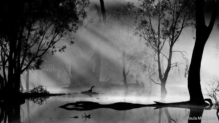 70 Breathtaking Photos Shortlisted For Australian Geographic Nature Photographer Of The Year