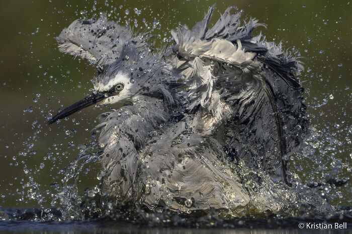 70 Breathtaking Photos Shortlisted For Australian Geographic Nature Photographer Of The Year
