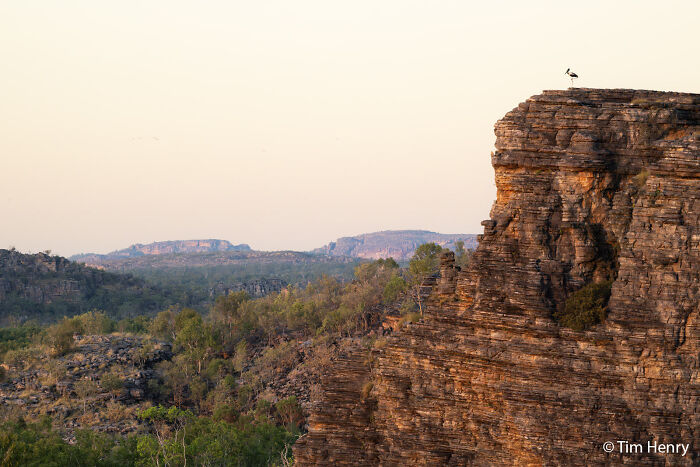 70 Breathtaking Photos Shortlisted For Australian Geographic Nature Photographer Of The Year