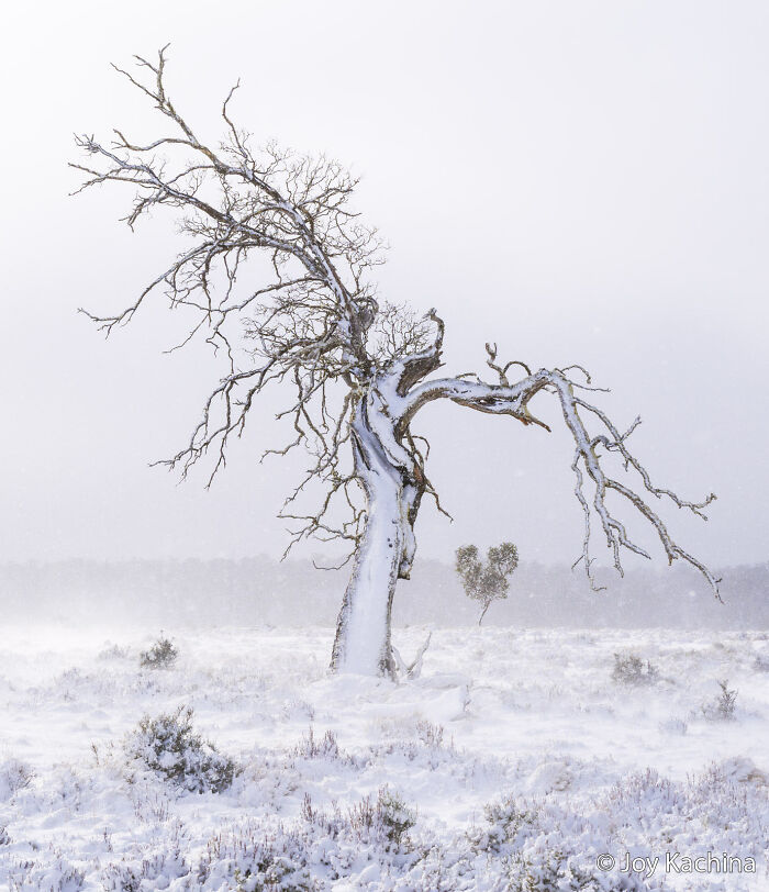 70 Breathtaking Photos Shortlisted For Australian Geographic Nature Photographer Of The Year
