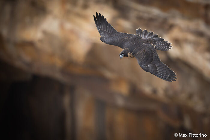70 Breathtaking Photos Shortlisted For Australian Geographic Nature Photographer Of The Year