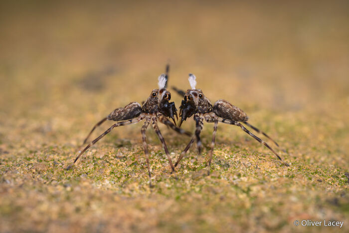 70 Breathtaking Photos Shortlisted For Australian Geographic Nature Photographer Of The Year