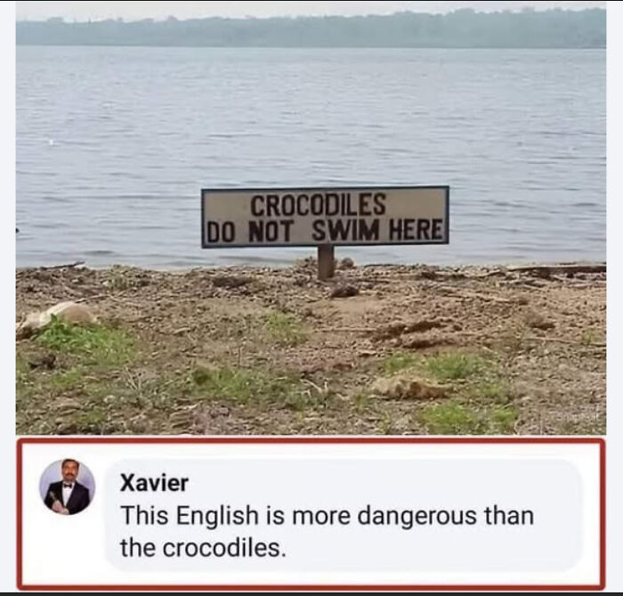 39 Times “Xavier” Had The Perfect Savage Response To Internet Nonsense (New Pics)