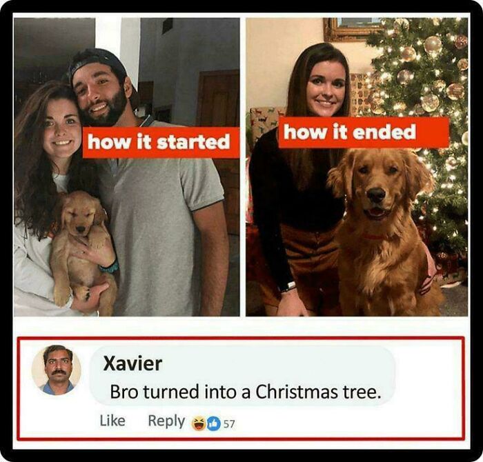 39 Times “Xavier” Had The Perfect Savage Response To Internet Nonsense (New Pics)