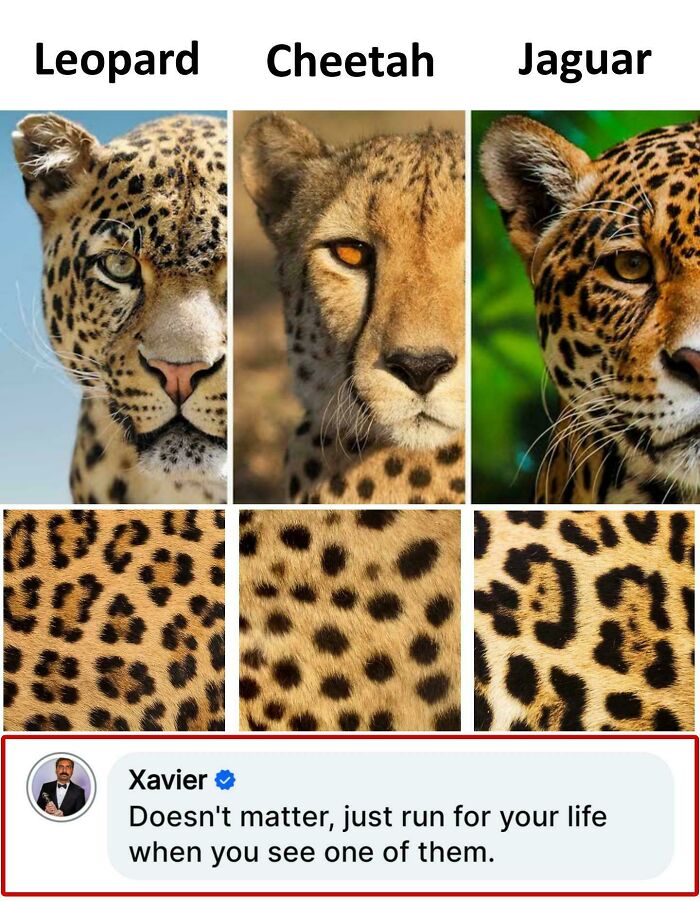 39 Times “Xavier” Had The Perfect Savage Response To Internet Nonsense (New Pics)