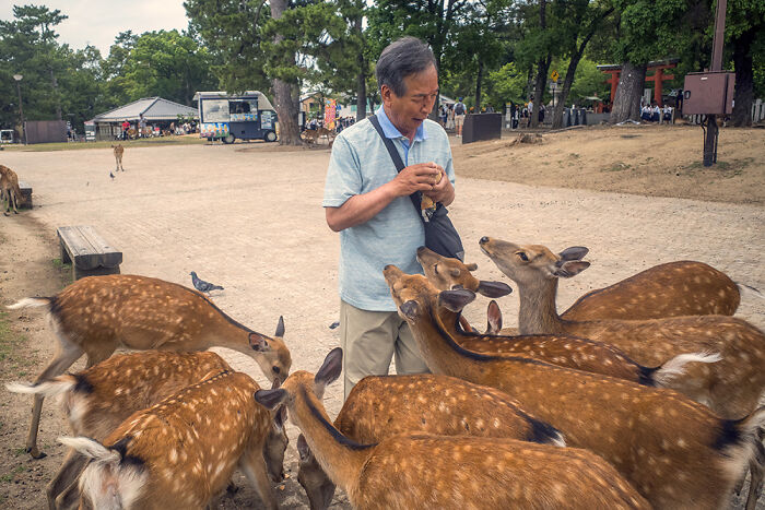 I&rsquo;m A Street Photographer Who Visited Japan And Captured Its Two Very Different Sides (30 Pics)