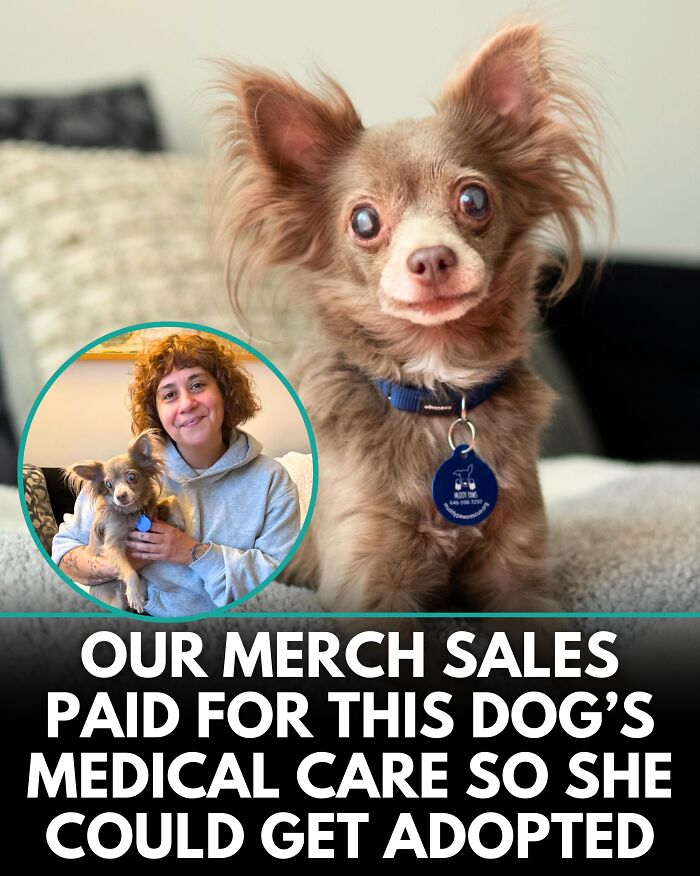 From Rescue Miracles To Emotional Reunions: 25 New Dog Stories Shared By ‘We Rate Dogs’ From Rescue Miracles To Emotional Reunions: 25 New Dog Stories Shared By ‘We Rate Dogs’