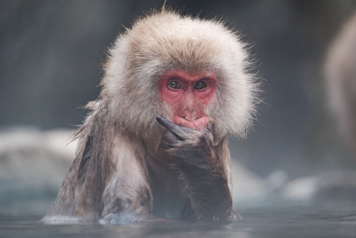 This Award-Winning Photographer Captures The Beauty Of Nature Through Extraordinary Close-Up Portraits (35 Pics) This Award-Winning Photographer Captures The Beauty Of Nature Through Extraordinary Close-Up Portraits (35 Pics)