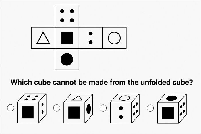 87 Brain Puzzles That Would Humble Even The Most Insufferably Confident Person In The Room 87 Brain Puzzles That Would Humble Even The Most Insufferably Confident Person In The Room