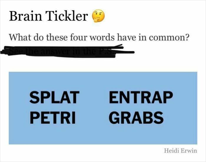 87 Brain Puzzles That Would Humble Even The Most Insufferably Confident Person In The Room 87 Brain Puzzles That Would Humble Even The Most Insufferably Confident Person In The Room