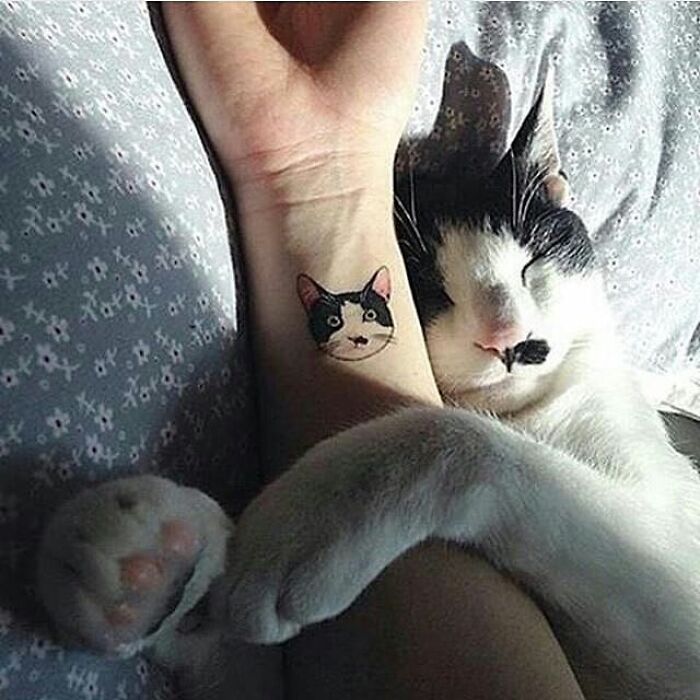 43 Adorable Animal Pics Shared By &ldquo;Cute Emergency&rdquo; That Might Instantly Brighten Your Day