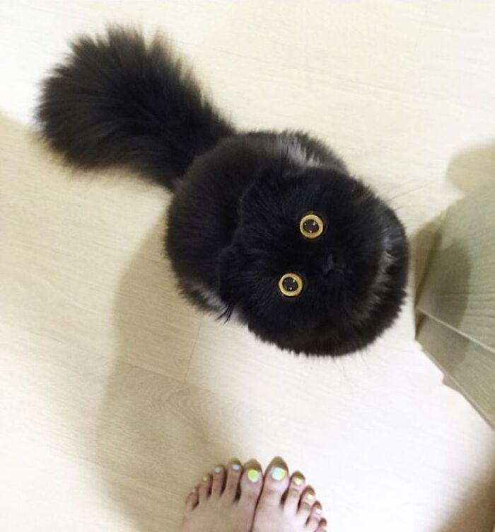 43 Adorable Animal Pics Shared By &ldquo;Cute Emergency&rdquo; That Might Instantly Brighten Your Day
