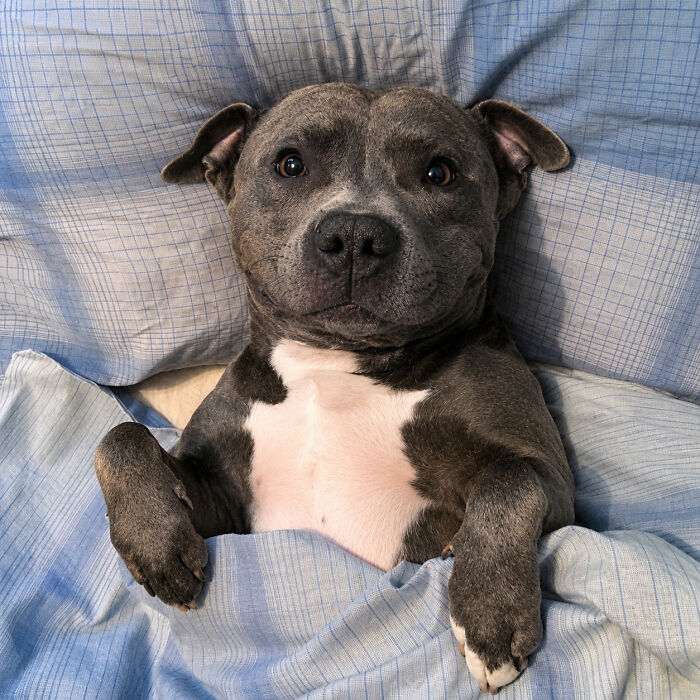 43 Adorable Animal Pics Shared By &ldquo;Cute Emergency&rdquo; That Might Instantly Brighten Your Day