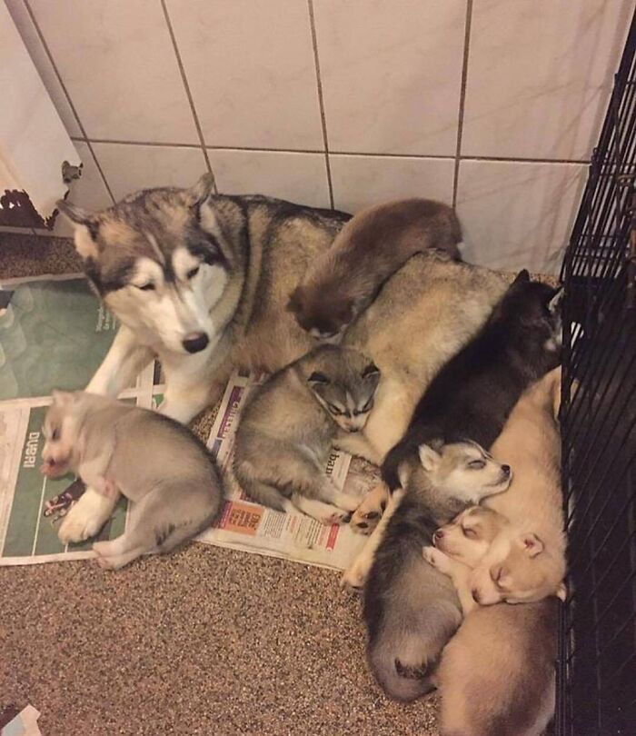 43 Adorable Animal Pics Shared By &ldquo;Cute Emergency&rdquo; That Might Instantly Brighten Your Day