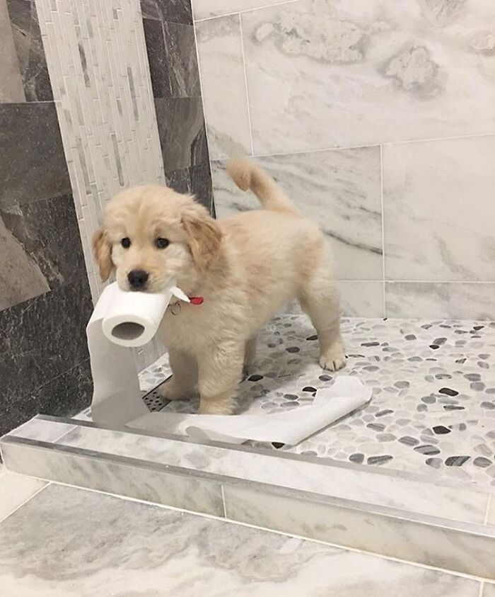 43 Adorable Animal Pics Shared By &ldquo;Cute Emergency&rdquo; That Might Instantly Brighten Your Day