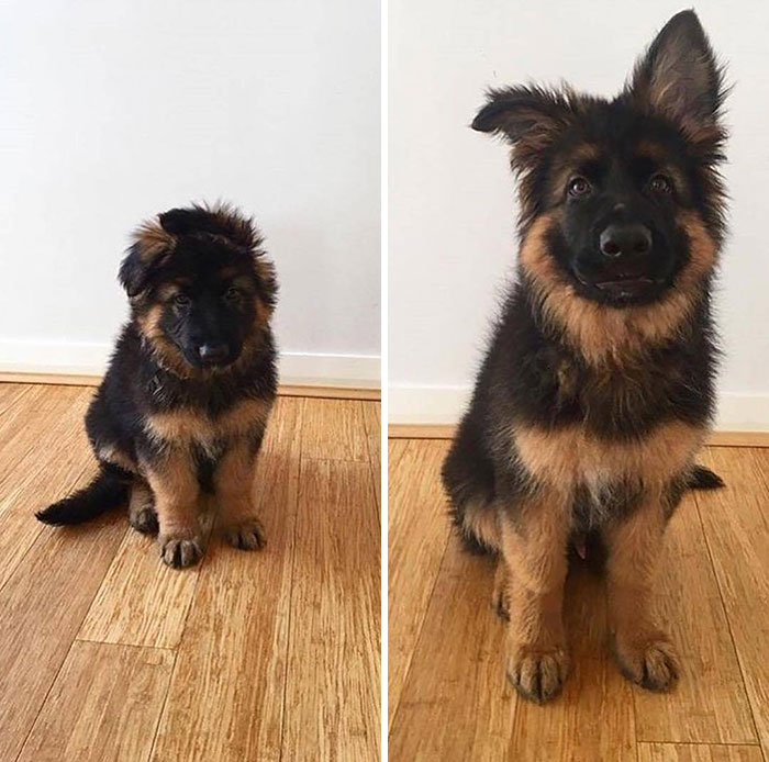 43 Adorable Animal Pics Shared By &ldquo;Cute Emergency&rdquo; That Might Instantly Brighten Your Day