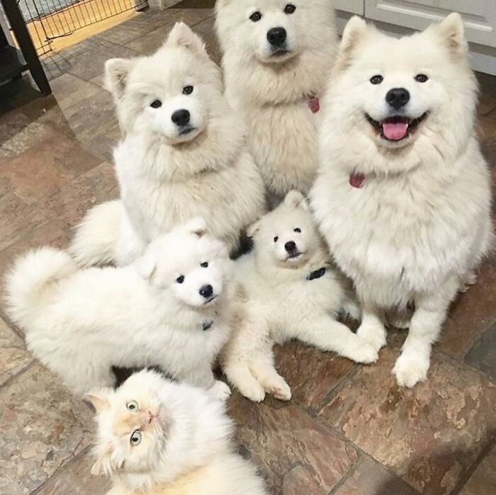 43 Adorable Animal Pics Shared By &ldquo;Cute Emergency&rdquo; That Might Instantly Brighten Your Day