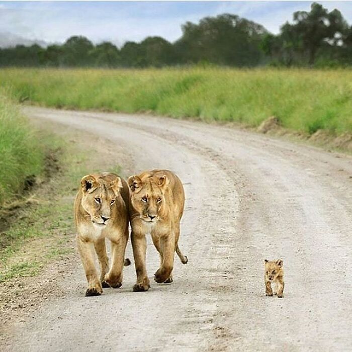 43 Adorable Animal Pics Shared By &ldquo;Cute Emergency&rdquo; That Might Instantly Brighten Your Day