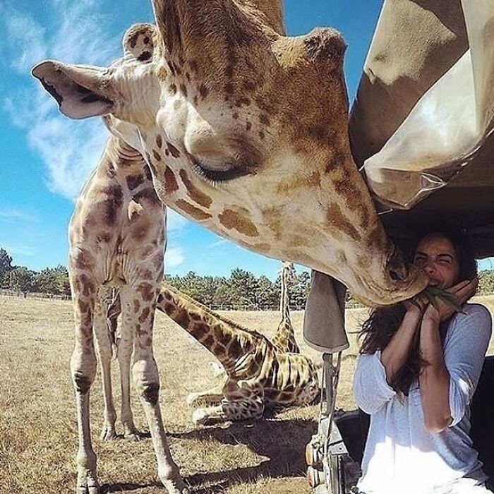 43 Adorable Animal Pics Shared By &ldquo;Cute Emergency&rdquo; That Might Instantly Brighten Your Day