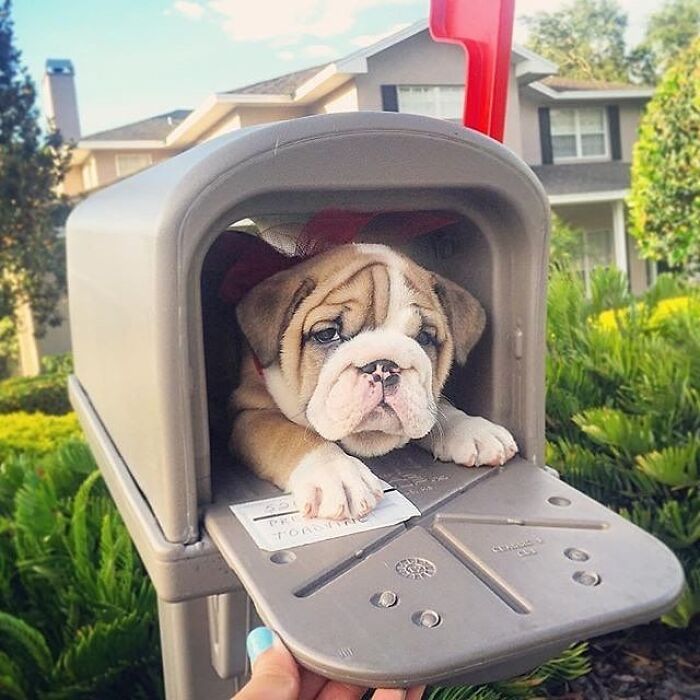 43 Adorable Animal Pics Shared By &ldquo;Cute Emergency&rdquo; That Might Instantly Brighten Your Day