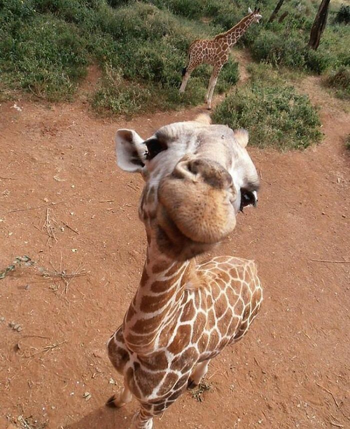 43 Adorable Animal Pics Shared By &ldquo;Cute Emergency&rdquo; That Might Instantly Brighten Your Day