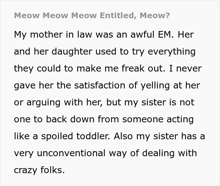 MIL Tries To Humiliate DIL In Public, Sister’s Absurd “Meow” Comeback Ends The Confrontation MIL Tries To Humiliate DIL In Public, Sister’s Absurd “Meow” Comeback Ends The Confrontation