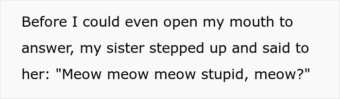 MIL Tries To Humiliate DIL In Public, Sister’s Absurd “Meow” Comeback Ends The Confrontation MIL Tries To Humiliate DIL In Public, Sister’s Absurd “Meow” Comeback Ends The Confrontation
