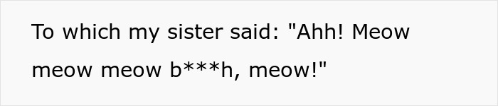 MIL Tries To Humiliate DIL In Public, Sister’s Absurd “Meow” Comeback Ends The Confrontation MIL Tries To Humiliate DIL In Public, Sister’s Absurd “Meow” Comeback Ends The Confrontation