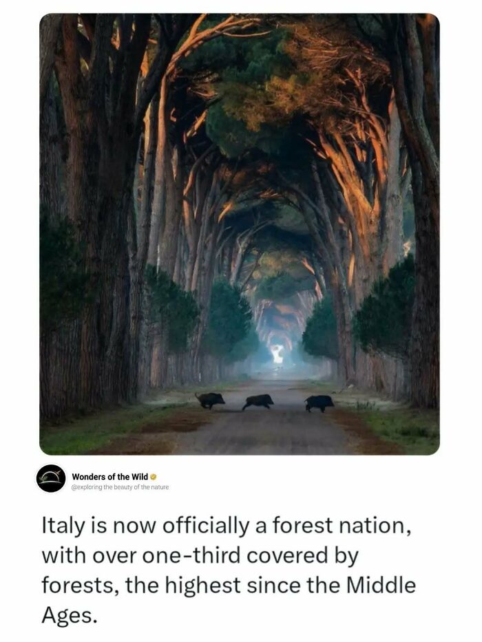 44 Fun And Interesting Facts That Might Delight Animal Lovers 44 Fun And Interesting Facts That Might Delight Animal Lovers