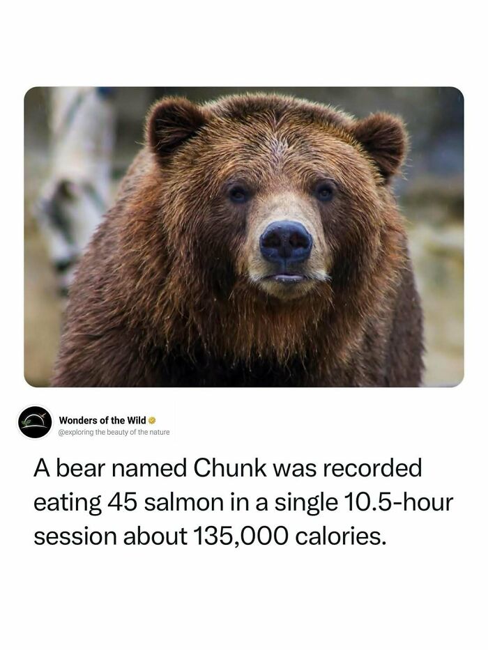 44 Fun And Interesting Facts That Might Delight Animal Lovers 44 Fun And Interesting Facts That Might Delight Animal Lovers