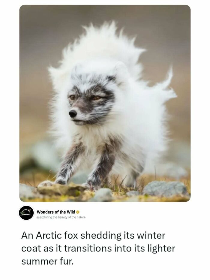 44 Fun And Interesting Facts That Might Delight Animal Lovers 44 Fun And Interesting Facts That Might Delight Animal Lovers