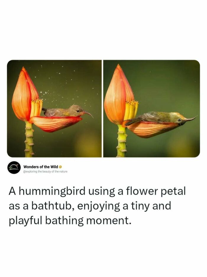 44 Fun And Interesting Facts That Might Delight Animal Lovers 44 Fun And Interesting Facts That Might Delight Animal Lovers