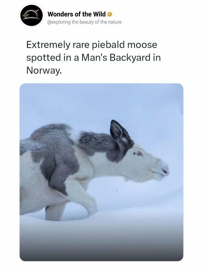 44 Fun And Interesting Facts That Might Delight Animal Lovers 44 Fun And Interesting Facts That Might Delight Animal Lovers