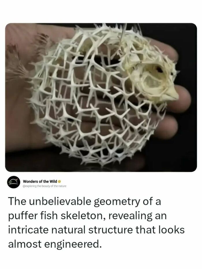 44 Fun And Interesting Facts That Might Delight Animal Lovers 44 Fun And Interesting Facts That Might Delight Animal Lovers