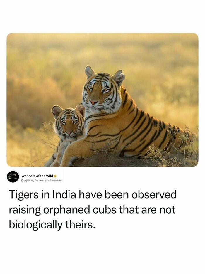 44 Fun And Interesting Facts That Might Delight Animal Lovers 44 Fun And Interesting Facts That Might Delight Animal Lovers