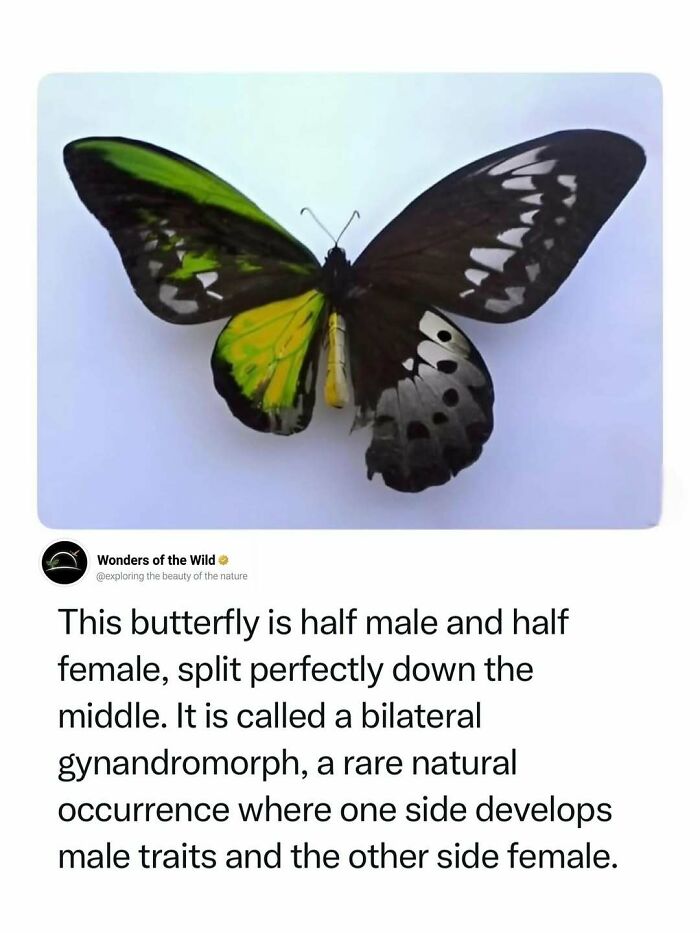 44 Fun And Interesting Facts That Might Delight Animal Lovers 44 Fun And Interesting Facts That Might Delight Animal Lovers