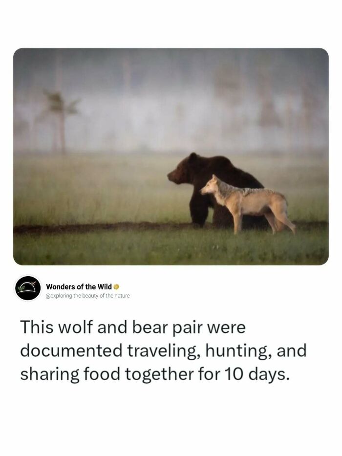 44 Fun And Interesting Facts That Might Delight Animal Lovers 44 Fun And Interesting Facts That Might Delight Animal Lovers