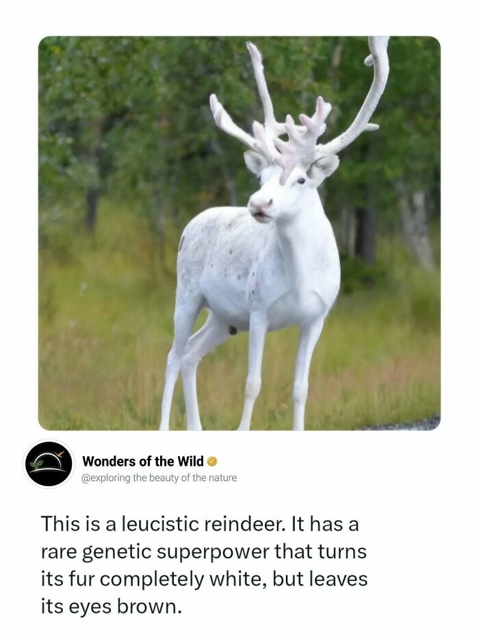 44 Fun And Interesting Facts That Might Delight Animal Lovers 44 Fun And Interesting Facts That Might Delight Animal Lovers