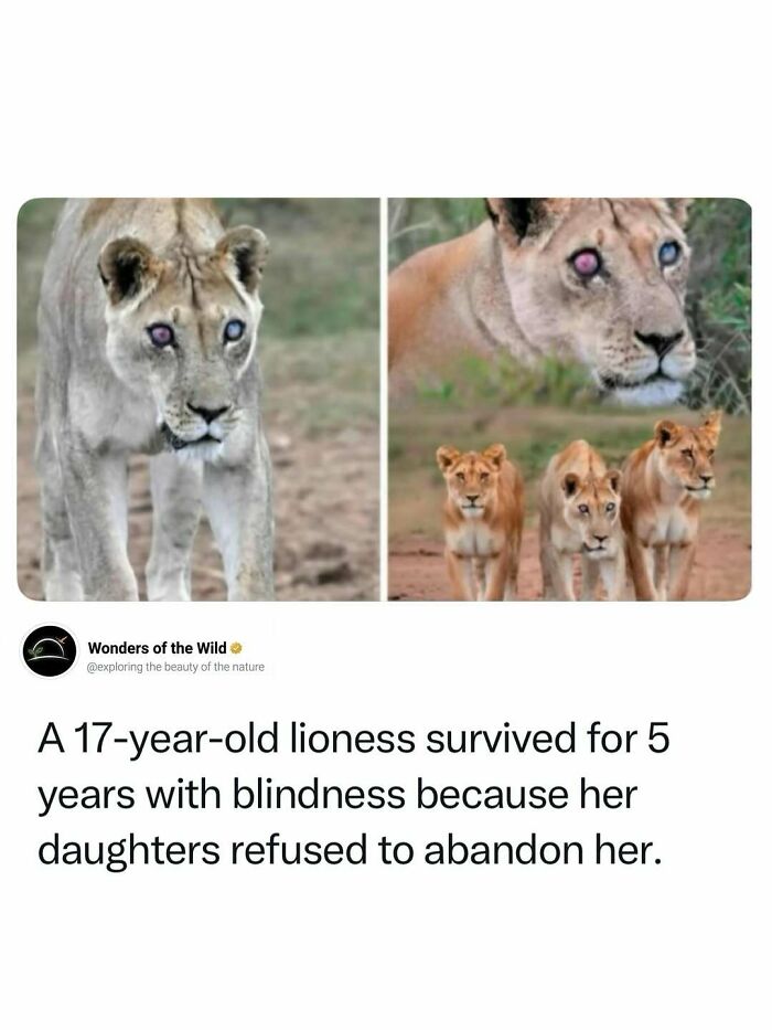 44 Fun And Interesting Facts That Might Delight Animal Lovers 44 Fun And Interesting Facts That Might Delight Animal Lovers