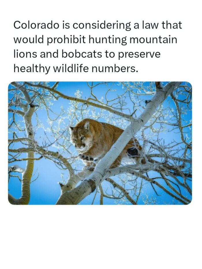 44 Fun And Interesting Facts That Might Delight Animal Lovers 44 Fun And Interesting Facts That Might Delight Animal Lovers