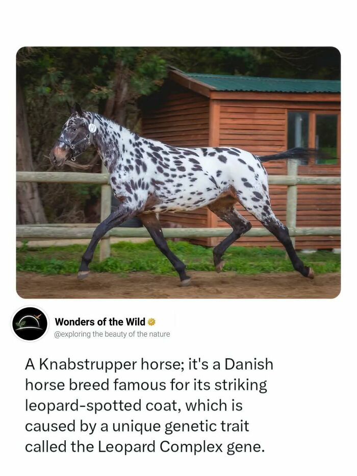 44 Fun And Interesting Facts That Might Delight Animal Lovers 44 Fun And Interesting Facts That Might Delight Animal Lovers