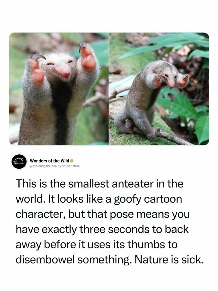 44 Fun And Interesting Facts That Might Delight Animal Lovers 44 Fun And Interesting Facts That Might Delight Animal Lovers