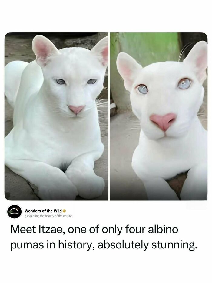44 Fun And Interesting Facts That Might Delight Animal Lovers 44 Fun And Interesting Facts That Might Delight Animal Lovers