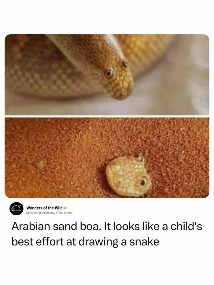 44 Fun And Interesting Facts That Might Delight Animal Lovers 44 Fun And Interesting Facts That Might Delight Animal Lovers