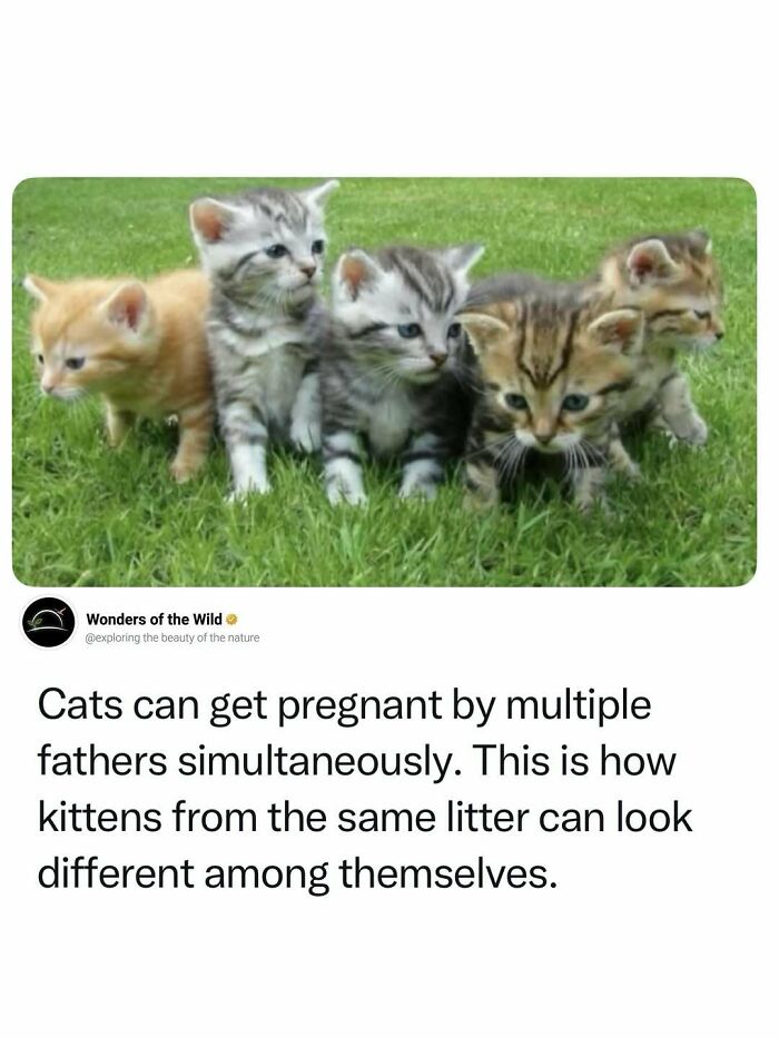 44 Fun And Interesting Facts That Might Delight Animal Lovers 44 Fun And Interesting Facts That Might Delight Animal Lovers
